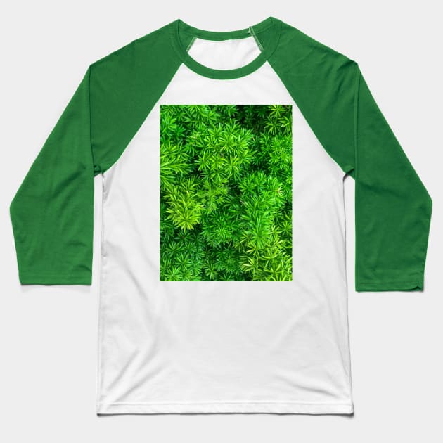 Foxtail fern (Sprenger's asparagus) green plant texture background Baseball T-Shirt by FOGSJ